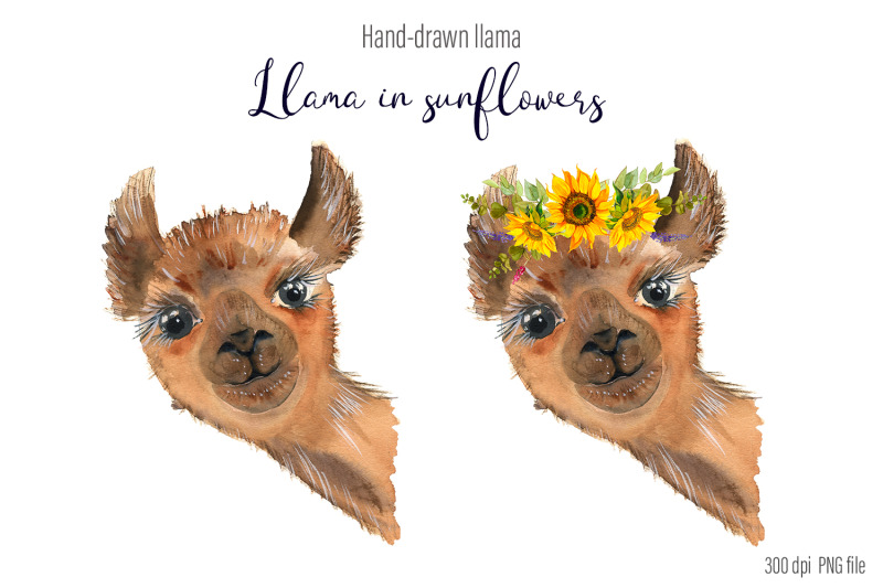 watercolor-portrait-lama-clipart-sublimation-designs