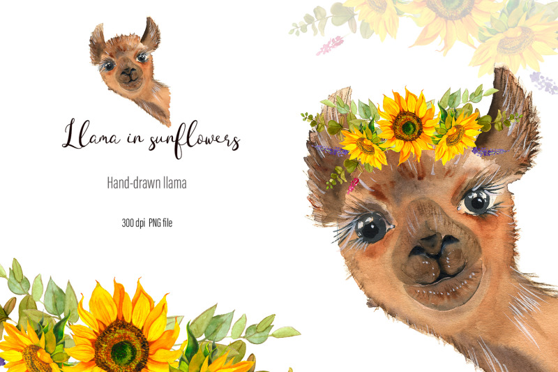 watercolor-portrait-lama-clipart-sublimation-designs