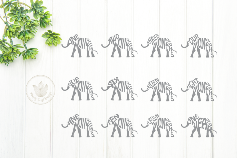 bundle-baby-039-s-first-year-elephant-shape-svg-cut-files