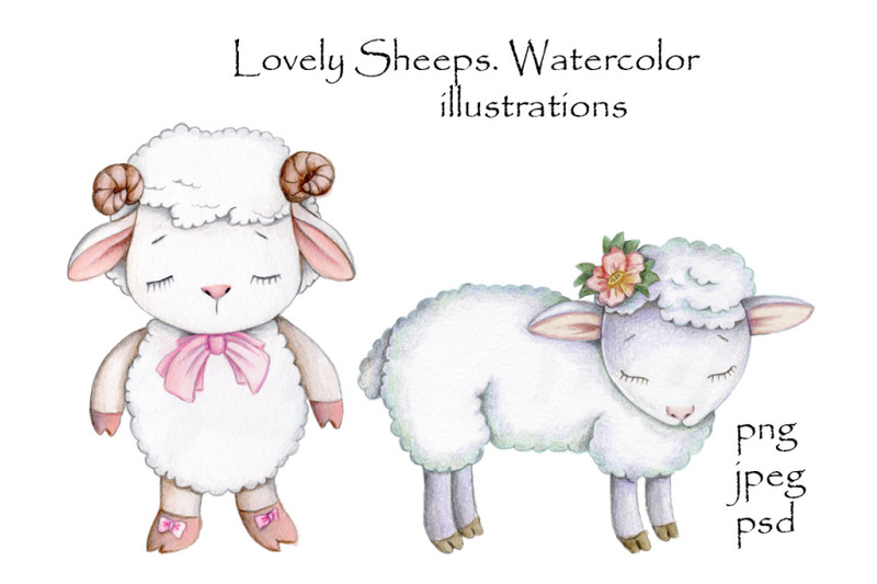 lovely-cute-sheeps-watercolor-illustrations