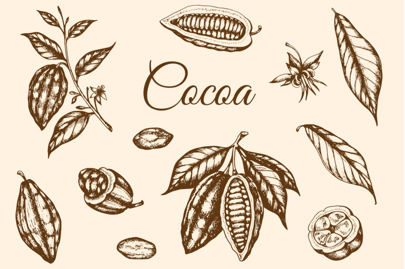 vintage-vector-cocoa-set