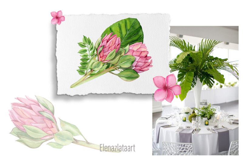 watercolor-tropical-clipart-flower-and-leaves