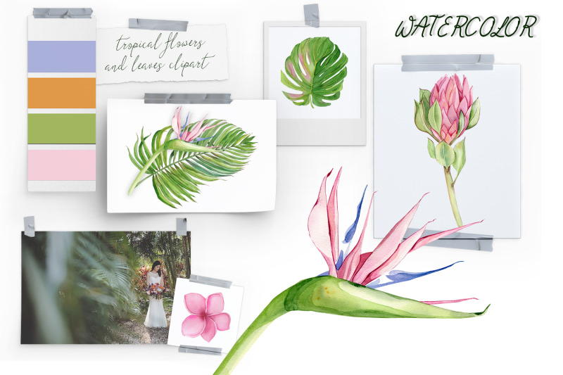 watercolor-tropical-clipart-flower-and-leaves
