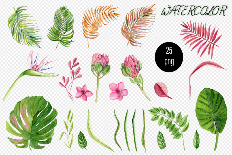 watercolor-tropical-clipart-flower-and-leaves