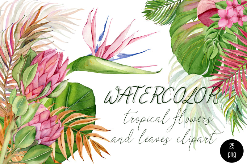 watercolor-tropical-clipart-flower-and-leaves