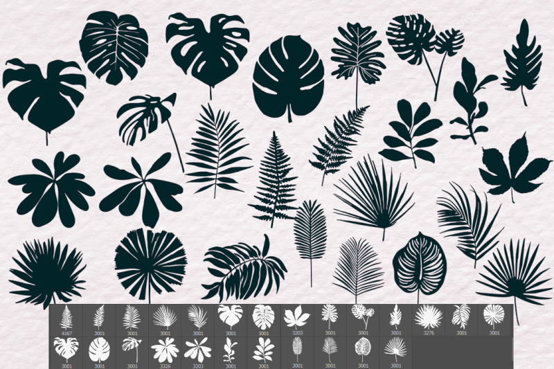 25 tropical leaves silhouettes brushes for Photoshop and Procreate .A ...