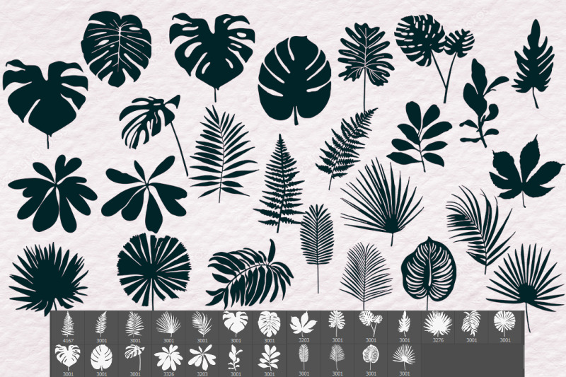 25-tropical-leaves-silhouettes-brushes-for-photoshop-and-procreate-a