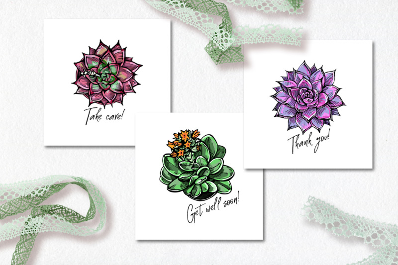 6-vector-cards-with-succulents-ai-eps-svg-jpeg-png-psd