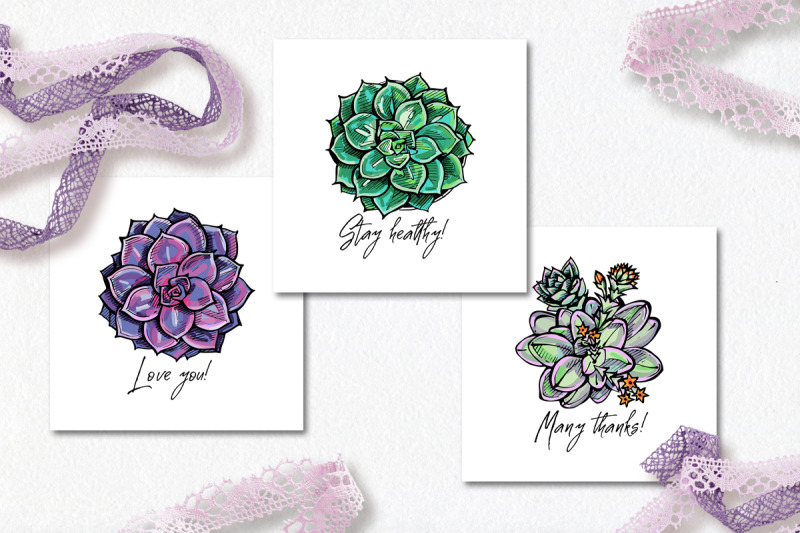 6-vector-cards-with-succulents-ai-eps-svg-jpeg-png-psd