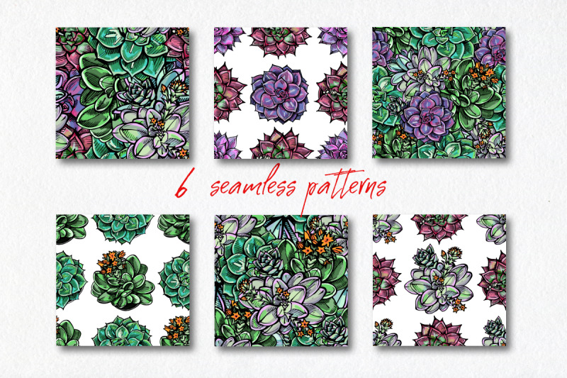 succulents-patterns-and-cards-ai-eps-svg-jpeg-png-psd