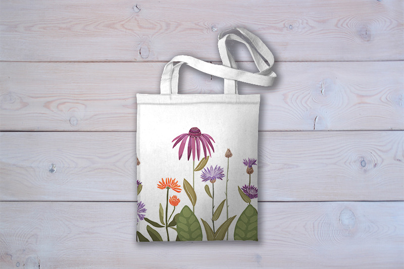 echinacea-floral-border