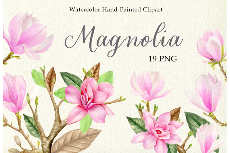 watercolor-pink-magnolia-floral-clipart-set-spring-flowers-leaves-png