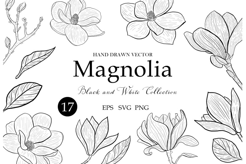 magnolia-clipart-svg-floral-leaves-flowers-botanical-decorative