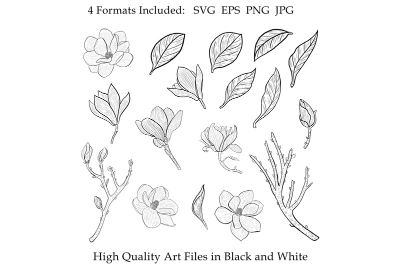 magnolia-clipart-svg-floral-leaves-flowers-botanical-decorative