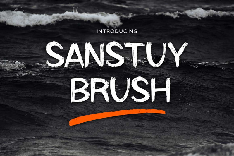 sanstuy-brush