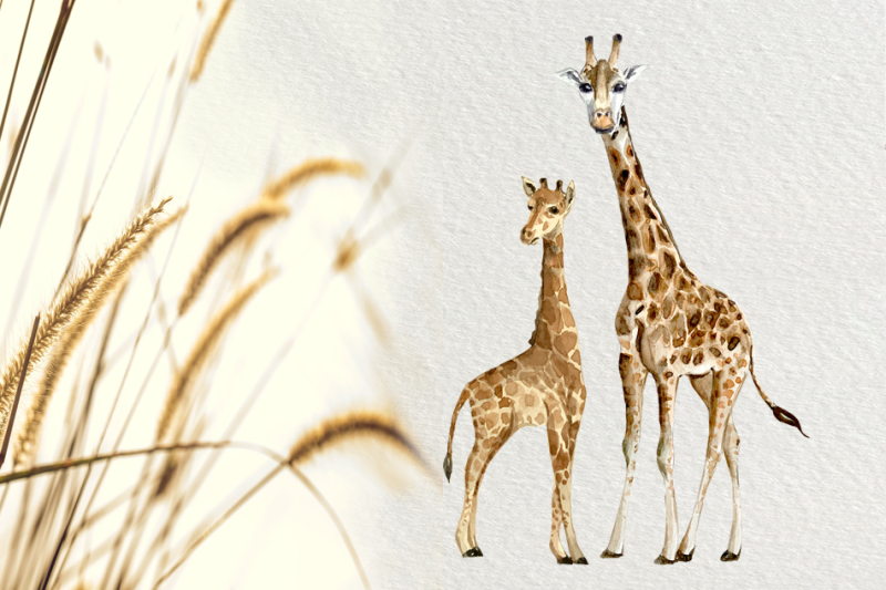 watercolor-giraffes-clip-arts