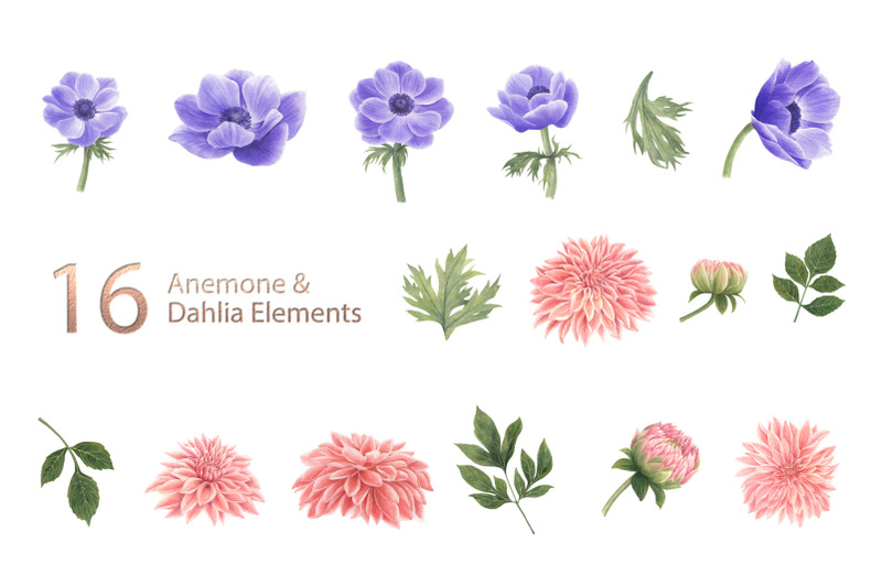 anemone-amp-dahlia-flowers-watercolor