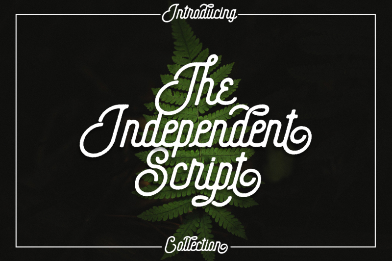 the-independent-collection
