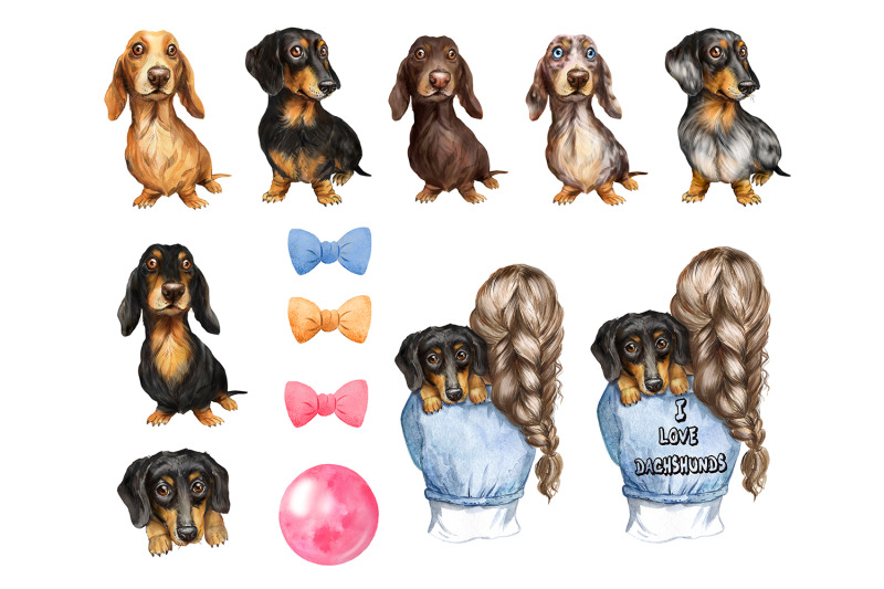 dachshunds-dogs-watercolor-clipart-pet-clipart-dog-clipart