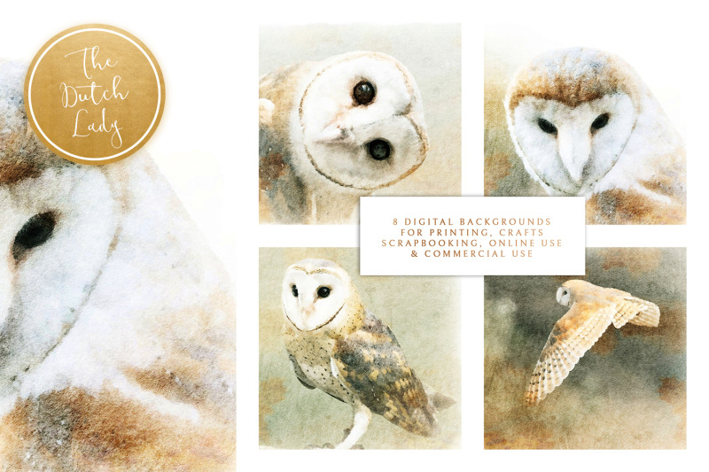 digital-paintings-the-owl