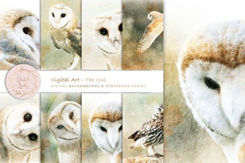 digital-paintings-the-owl