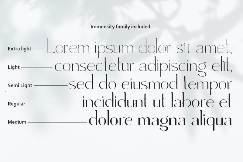 immensity-stylish-ligature-serif-font-family
