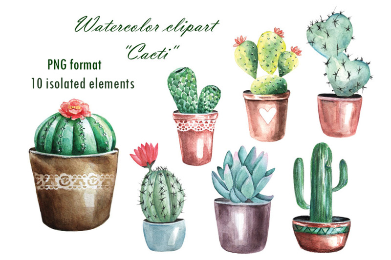 cacti-watercolor-clipart-home-plant-watercolor-cacti-succulent