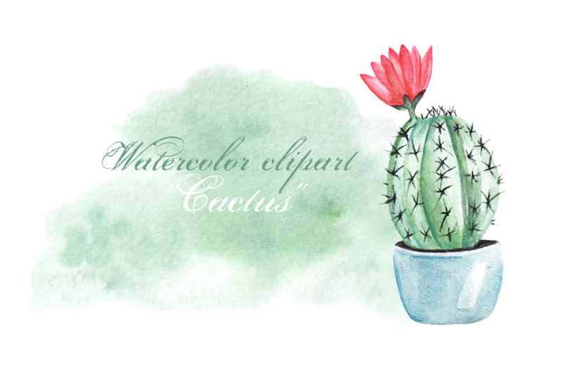 cacti-watercolor-clipart-home-plant-watercolor-cacti-succulent