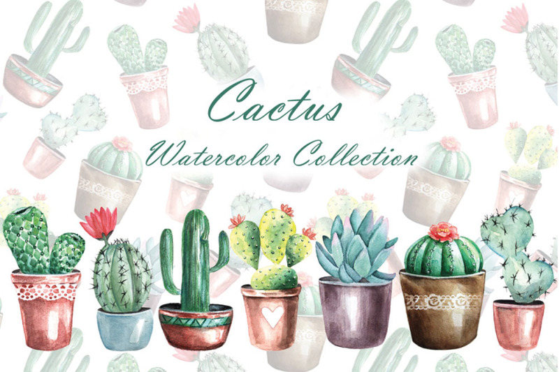 cacti-watercolor-clipart-home-plant-watercolor-cacti-succulent