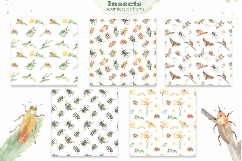 insects-watercolor-collection