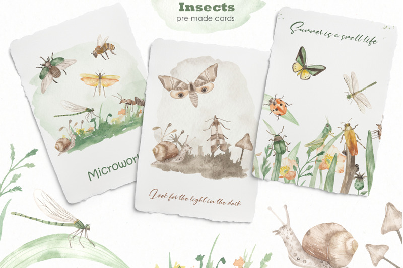 insects-watercolor-collection