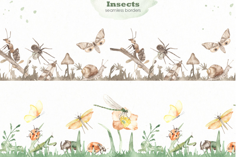 insects-watercolor-collection