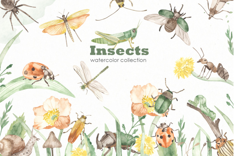 insects-watercolor-collection