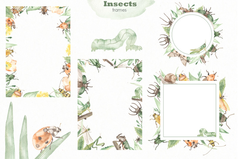 insects-watercolor-collection