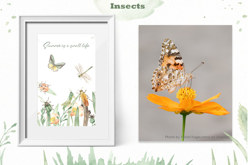 insects-watercolor-collection