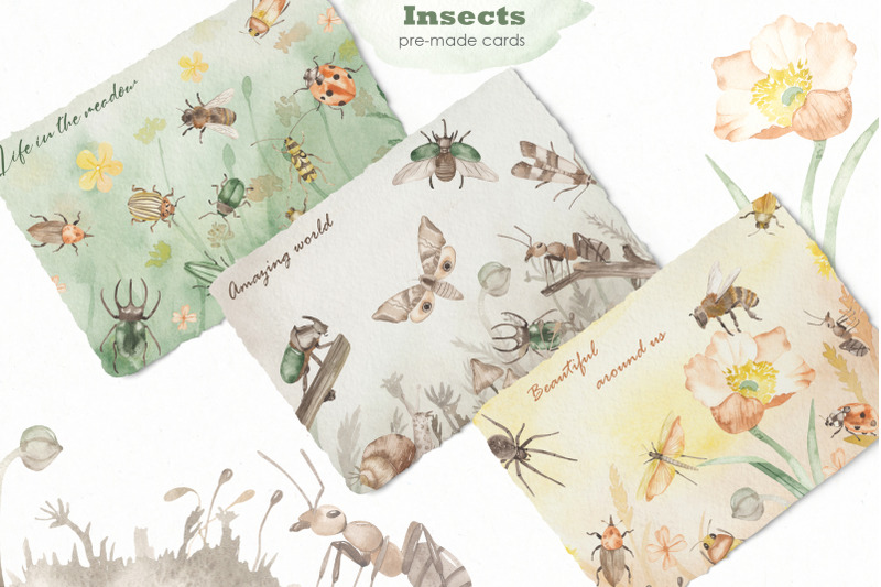 insects-watercolor-collection