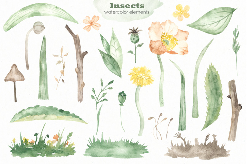 insects-watercolor-collection