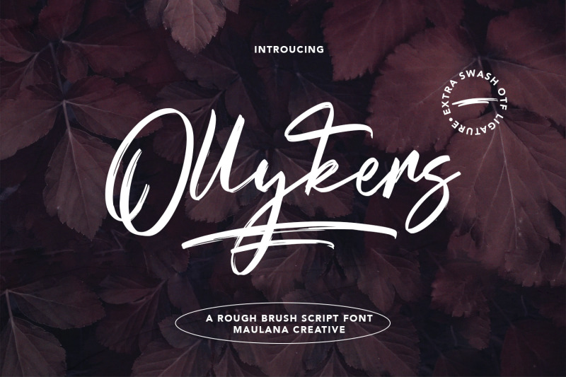 ollykers-brush-script-font