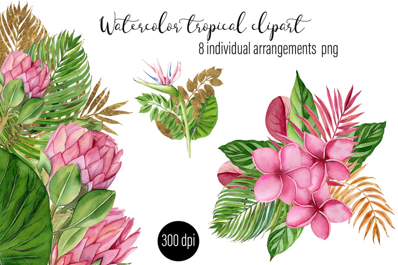 individual-watercolor-tropical-compositions