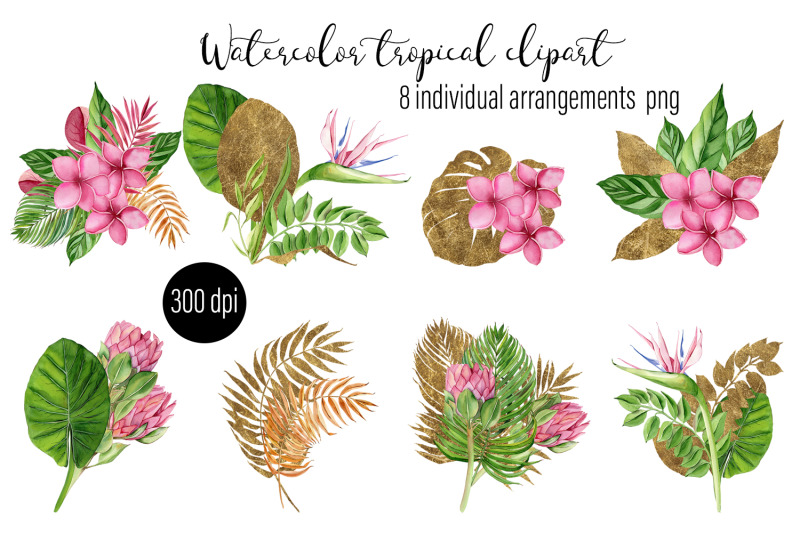 individual-watercolor-tropical-compositions