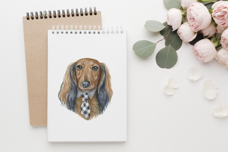 dachshund-watercolor-dog-illustrations-cute-8-dog