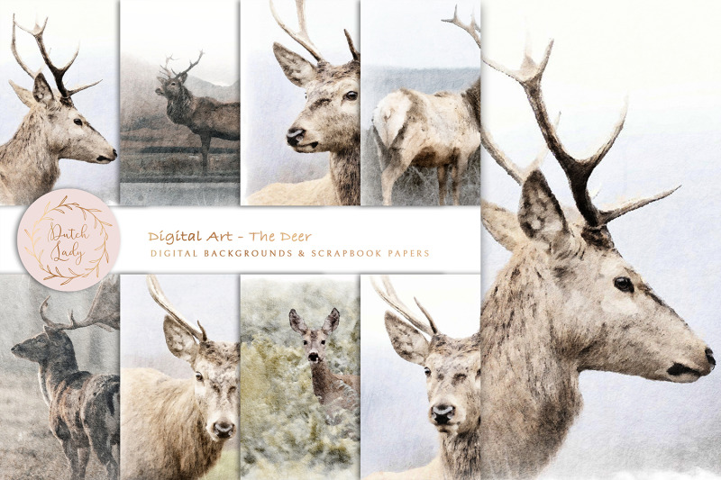 digital-paintings-the-deer