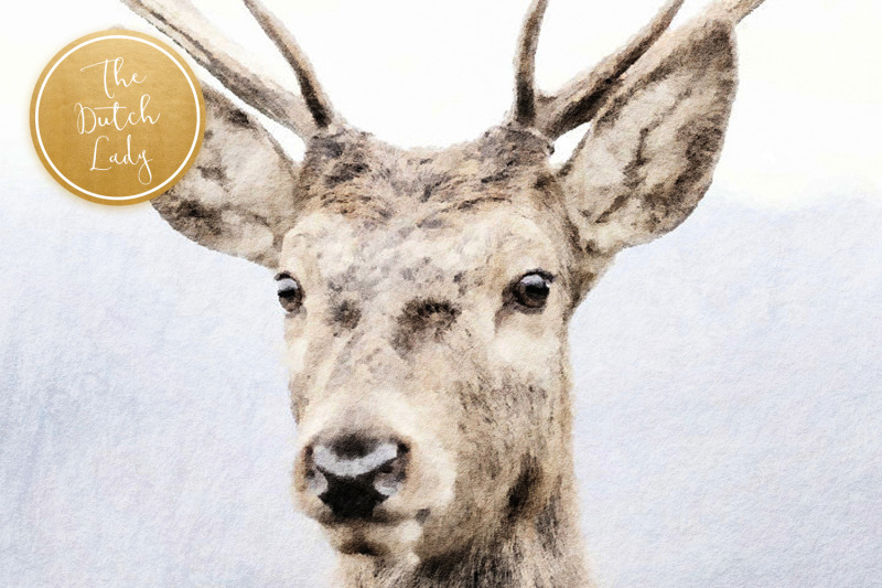 digital-paintings-the-deer