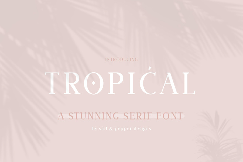 tropical-serif-font-serif-fonts-instagram-fonts-branding-fonts