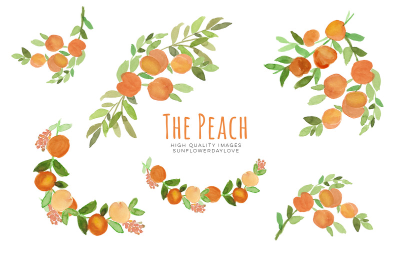 peaches-greenery-watercolour-peaches-clipart