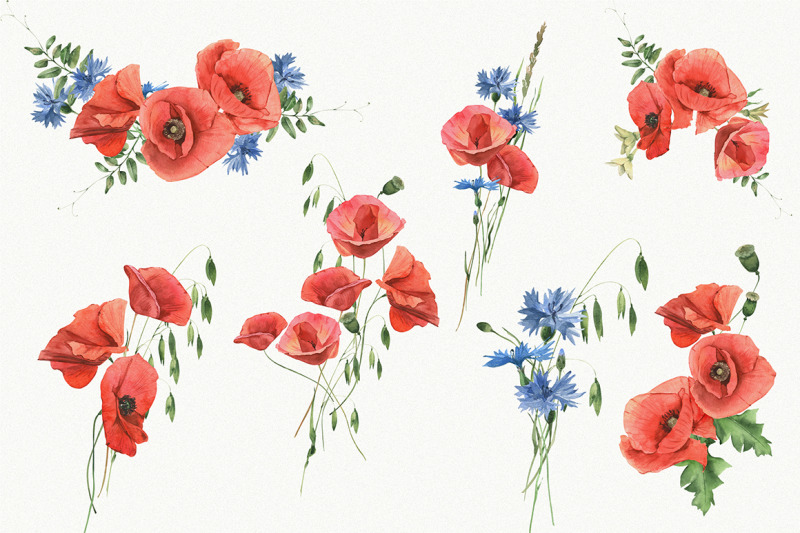 poppy-field-watercolor-collection