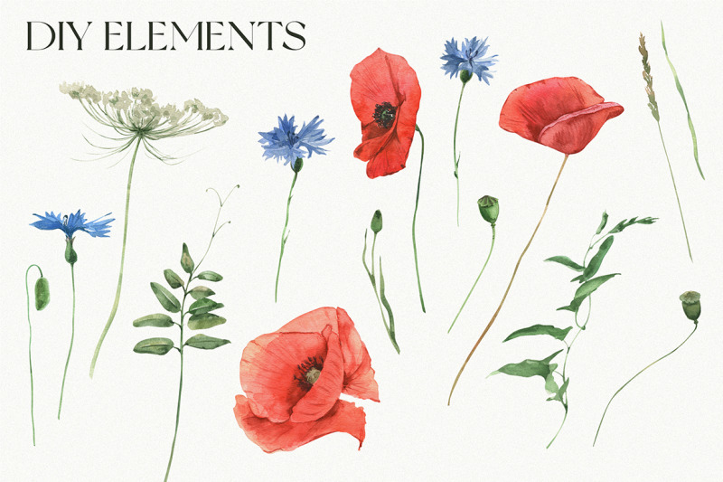 poppy-field-watercolor-collection