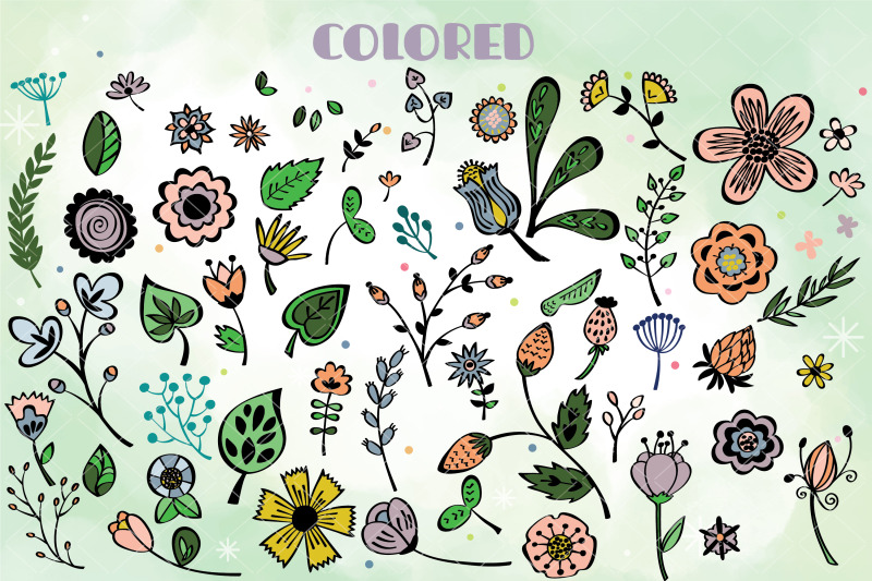 colored-flowers-amp-leaves-hand-drawn-wild-flower-nature-plants