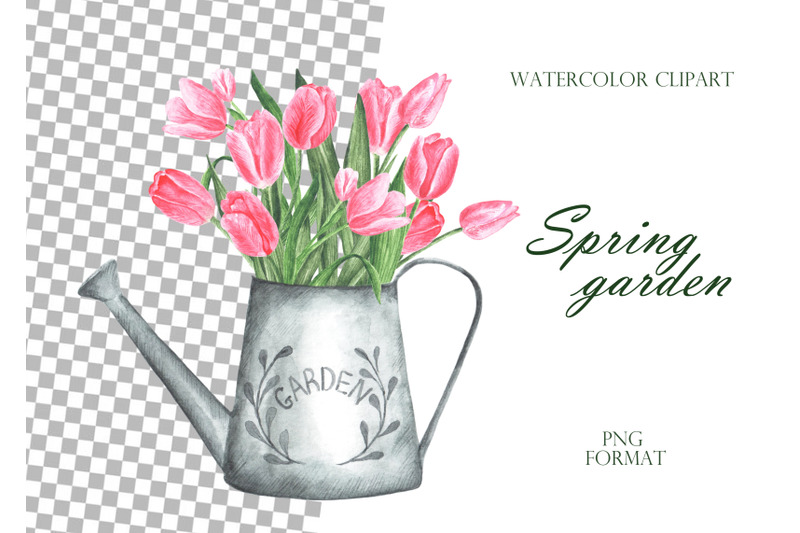 pink-tulips-watercolor-clipart-tulips-clipart-spring-garden