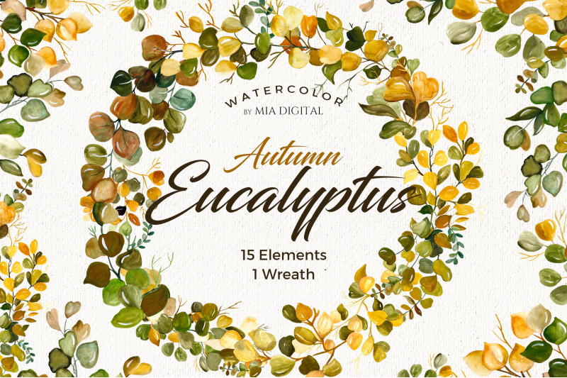 watercolor-eucalyptus-clipart-watercolor-eucalyptus-branches